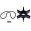 ARCO Marine WP008 Water Pump Repair Kit f/Honda Outboard Engines