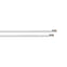 Sea-Dog 12 AWG White Primary Wire - 100'