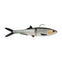 Berkley Powerbait Saltwater Hypnoglide - 8