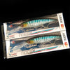 Noeby 2PCS 16cm 74.7g 12cm 30g 14cm 50g Trolling Baits