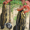 Goture Silicone Grub Bait 10pcs/lot