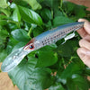 Noeby 2PCS 16cm 74.7g 12cm 30g 14cm 50g Trolling Baits