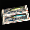 Noeby 2PCS 16cm 74.7g 12cm 30g 14cm 50g Trolling Baits