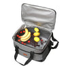 35L Large Capacity Insulated Collapsible Cooler Bag