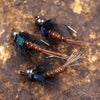 Bimoo 6Pcs/Lot  #8 #10 #12 Tungsten Bead Head Flash Back Pheasant Tail Nymph Fly