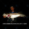 Megabass Marine Gang 120F 120 90 F 90S Floating Casting/Trolling Jerkbait