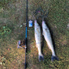 JOHNCOO Voria 1.98m/ 2.1m/2.4m ML M MH 2PC Fast Action Spinning Fishing Rod