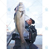 Megabass X-80 TRICK DARTER Suspend /Sinking 1.5m Jerkbait