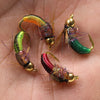 ICERIO 8PCS #12 Brass Bead Scud Fly
