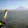 Megabass POPPING DUCK 60mm 6.5g Floating Topwater Popper
