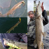 JOHNCOO 1PC 230mm/100g Jointed Floating Swimbait