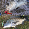 Megabass POPPING DUCK 60mm 6.5g Floating Topwater Popper