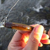 Megabass PROP DARTER 80 X-80 PD Floating 80mm Dynamic Jerkbait