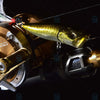 Megabass POPX Floating Top water Popper