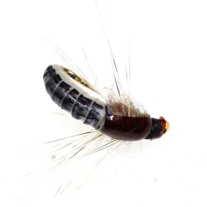 30-100Pcs Fly Fishing Dry/Wet Flies Kit – Pro Tackle World