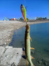 TSUYOKI Musky/Pike Jerkbaits 90mm/105mm Slow Sinking