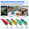 5pcs Luminous Spoon Lure Set