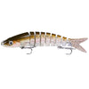 CCLTBA 1Pc 10cm 10g Swimbait