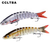 CCLTBA 1Pc 10cm 10g Swimbait