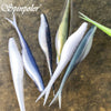 Spinpoler Minnow Soft Lure 5 PC